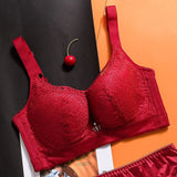FallSweet Plus Size Bras for Women Full Coverage Push Up Bra Sexy Lace Bralette C D E Cup Ladies Brassiere Femme