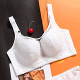 FallSweet Plus Size Bras for Women Full Coverage Push Up Bra Sexy Lace Bralette C D E Cup Ladies Brassiere Femme