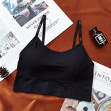 Women Sports Bra Sexy Brathable Sports Top yoga bra Push Up Female Gym Fitness Sports Underwear Female Seamless bra