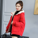Orwindny Winter Coat Women 2020 Fashion Winter Jacket Women Cotton padded Parka Outwear Hooded 7 Colors Solid Female Jacket Coat