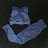 2PCS Mesh Seamless yoga set Sports Suits Women's Yoga Set High Waist GYM Fitness running Pants Top Sportswear Women Leggings+Bra