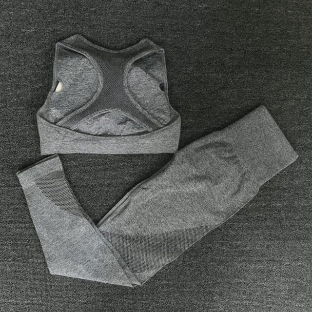 2PCS Mesh Seamless yoga set Sports Suits Women's Yoga Set High Waist GYM Fitness running Pants Top Sportswear Women Leggings+Bra