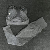 2PCS Mesh Seamless yoga set Sports Suits Women's Yoga Set High Waist GYM Fitness running Pants Top Sportswear Women Leggings+Bra