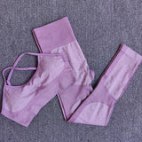 Seamless Yoga Set Fitness Clothing Sportswear High Waist Women Gym Leggings Tights Padded Push-up Sports Bra  Sports Sets 1874