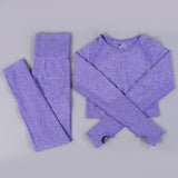 Women 2pcs Seamless Yoga Set Sport Suit Gymwear Workout Clothes Long Sleeve Gym Crop Top High Waist Leggings Fitness Sports Wear