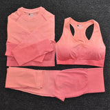Ombre Women Yoga Set Seamless Leggings Long Sleeve Crop Top Sports Bra Running Pants Gym Clothing Fitness Workout Sports Suit