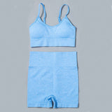 Seamless 2pcs/4pcs Gym Set Crop Top V-neck Sports Bra High Waist Leggings Shorts Yoga Set Women Fitness Sport Workout Suits