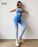 Yushuhua New Ombre Yoga Set Sports Bra Leggings Women Gym Set Clothes Seamless Workout Fitness Sportswear Fitness Sports Suit