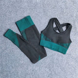 Women Thickness Seamless Yoga Set Sportswear Fitness Sport Gym Running Yoga Suit 2Pcs Sports Bra+Leggings Outfit Suit Activewear