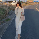 BGTEEVER Vintage Loose Turtleneck Long Sweater Dress Women  Full Sleeve Warm Pullover Knitted Female Dress 2020 Winter Vestidos
