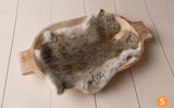 Rabbit Fur For Newborn Photography Props Blankets Baby Photo Shoot Accessories Blanket Photoshoot Memories Backdrop Flokati
