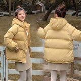 PinkyIsBlack 2020 Hooded Women Winter Down Jacket Coat Plus Size 2XL Short Thicken Warm Cotton Padded Winter Coat Women Clothes