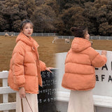 PinkyIsBlack 2020 Hooded Women Winter Down Jacket Coat Plus Size 2XL Short Thicken Warm Cotton Padded Winter Coat Women Clothes