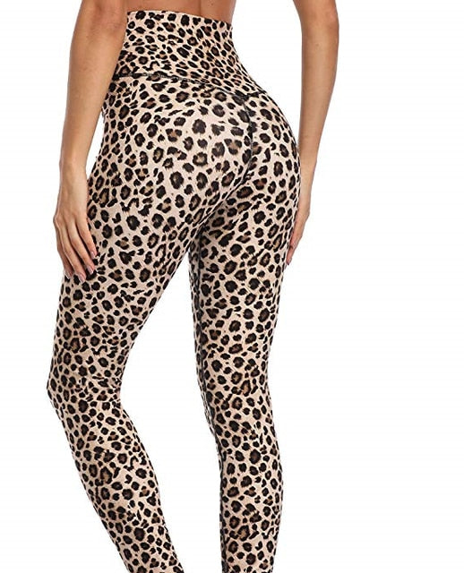 Back Waist Sports Tight  Leggings Sexy Yoga Gym Tummy Control Legggings Non See Through Quality Pants Free Shipping