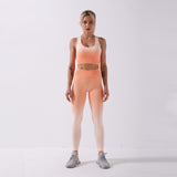 Yushuhua New Ombre Yoga Set Sports Bra Leggings Women Gym Set Clothes Seamless Workout Fitness Sportswear Fitness Sports Suit