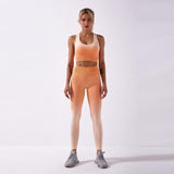 Ombre Seamless 2 Piece Set Women Suit Gym Workout Clothes Sport Bra Fitness Crop Top And Scrunch Butt Leggings Yoga Set