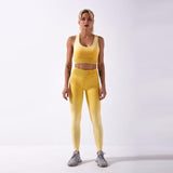 Ombre Seamless 2 Piece Set Women Suit Gym Workout Clothes Sport Bra Fitness Crop Top And Scrunch Butt Leggings Yoga Set